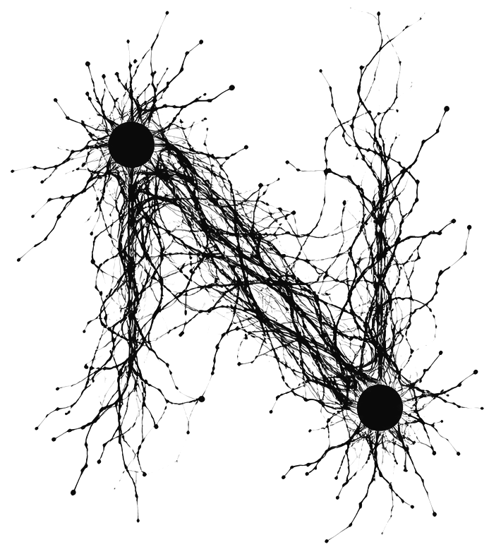 A capital N drawn as a dense network of branching filaments between two black nodes.